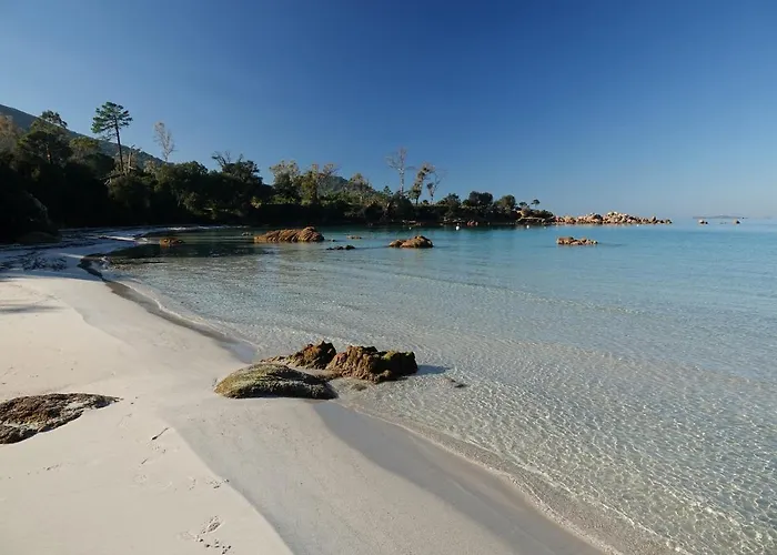 Avec Très Jolie Vue Appartement